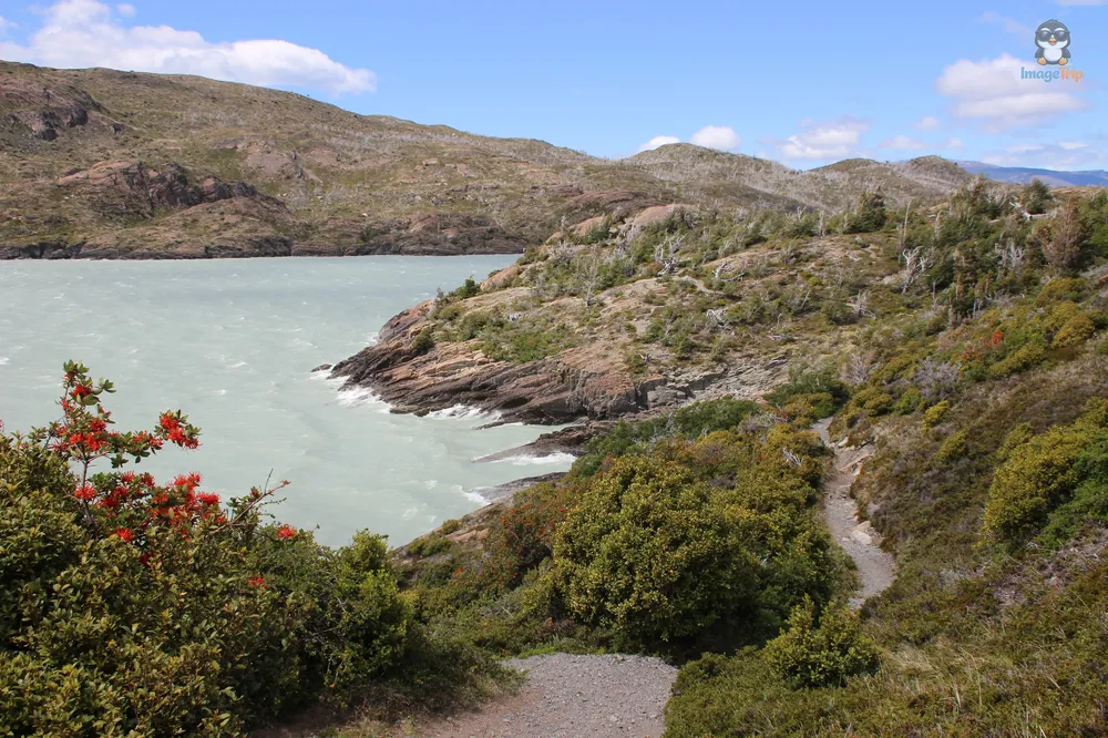 TorresPaine_I_LagoGrey_41