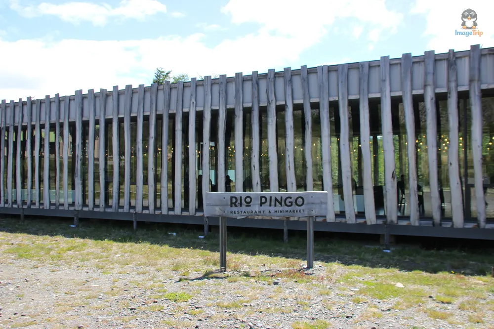 TorresPaine_I_Pingo_34