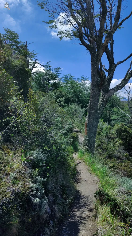 TorresPaine_I_LagoGrey_58