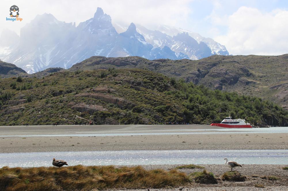 TorresPaine_I_Pingo_13