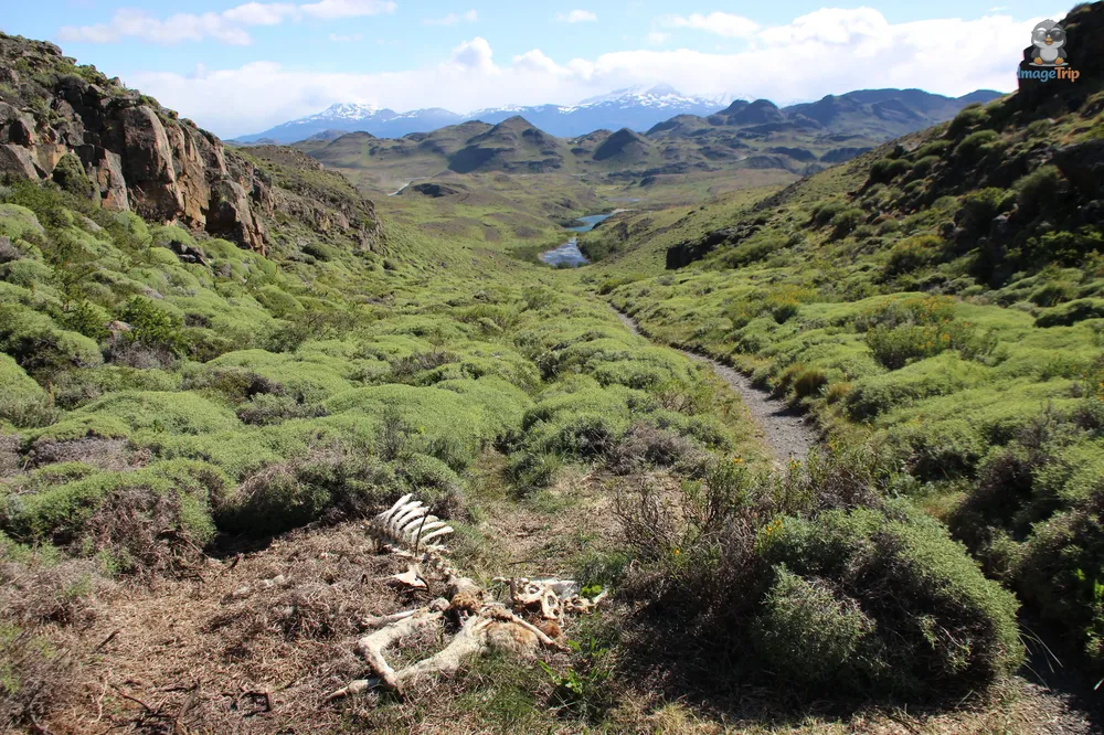 TorresPaine_I_MiradorNordenskjöld_28