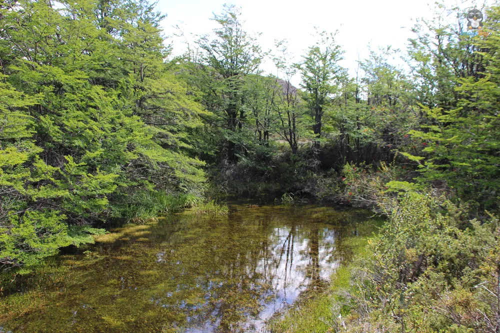 TorresPaine_I_LagoGrey_44