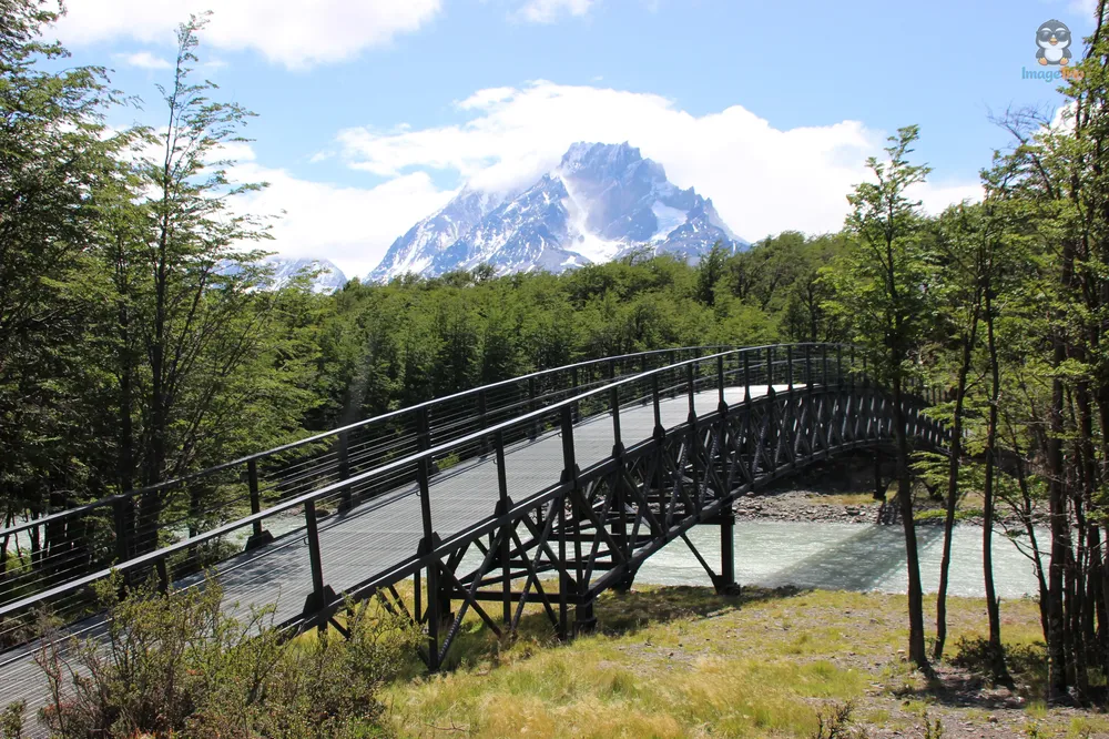 TorresPaine_I_Pingo_37