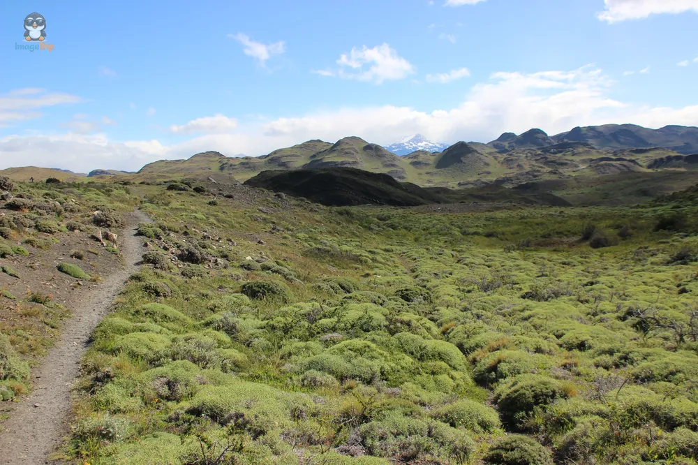 TorresPaine_I_MiradorNordenskjöld_12