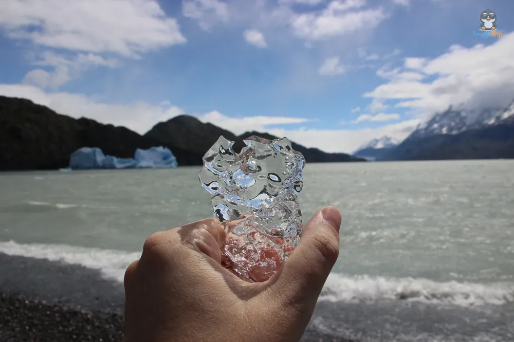 TorresPaine_I_LagoGrey_18