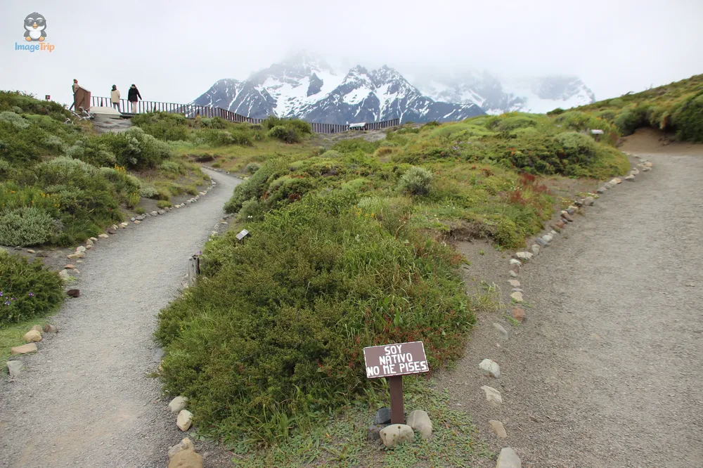 TorresPaine_II_SaltoGrandeMiradorCuernos_31