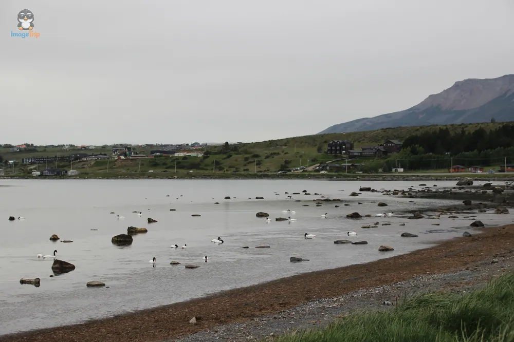 TorresPaine_II_PuertoNatales_2