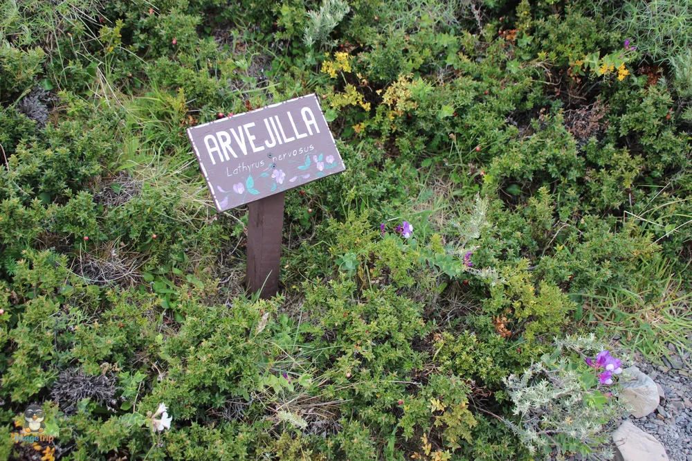 TorresPaine_II_SaltoGrandeMiradorCuernos_32