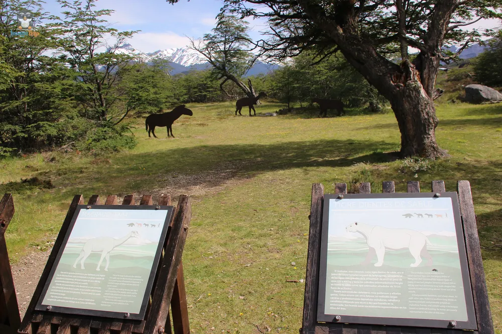 TorresPaine_II_CuevaMilodon_30