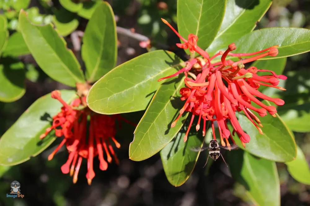 TorresPaine_II_CuevaMilodon_18