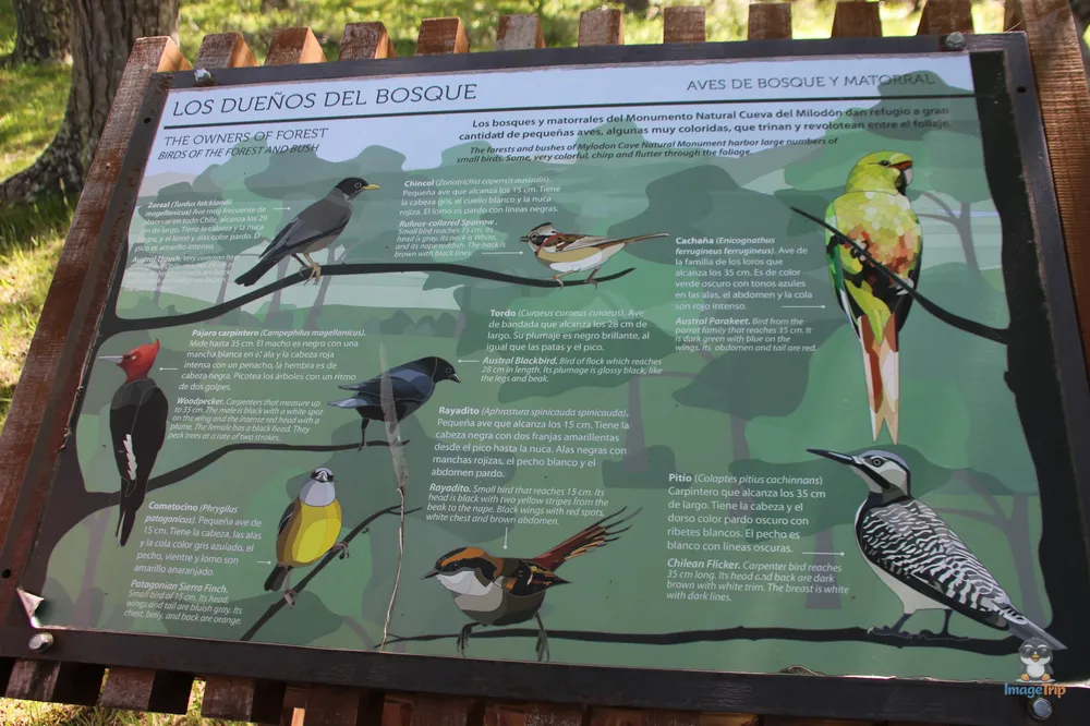 TorresPaine_II_CuevaMilodon_5