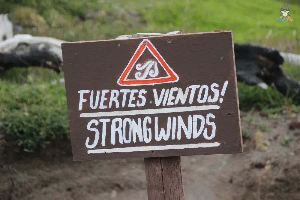 TorresPaine_II_SaltoGrandeMiradorCuernos_21