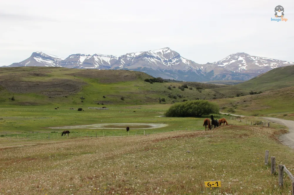TorresPaine_II_GuarderiaLagunaAzul_10