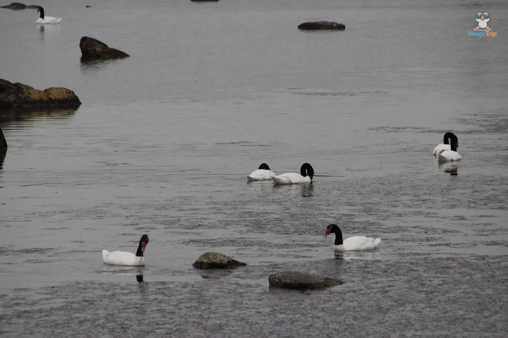 TorresPaine_II_PuertoNatales_3