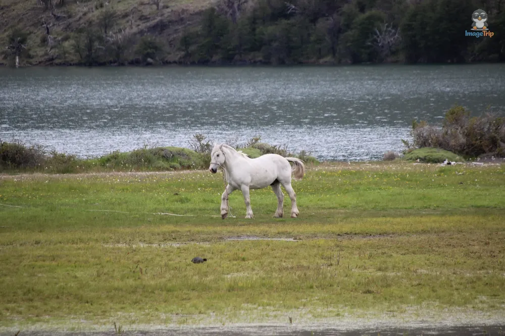 TorresPaine_II_GuarderiaLagunaAzul_15