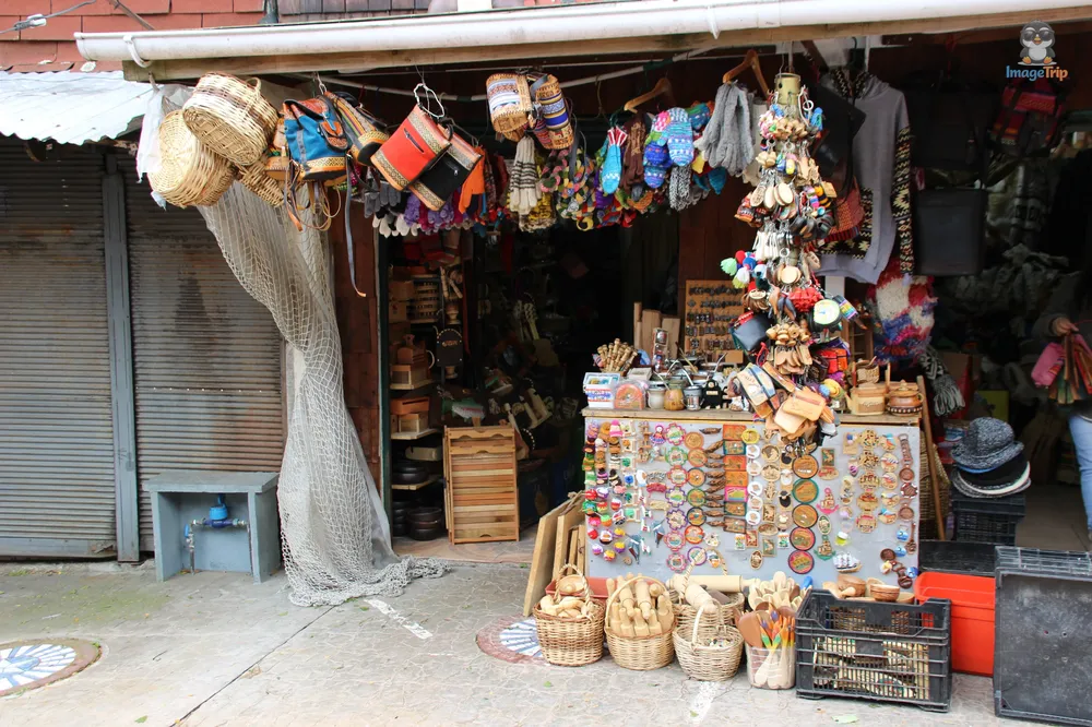 PuertoMontt_Melipulli_14