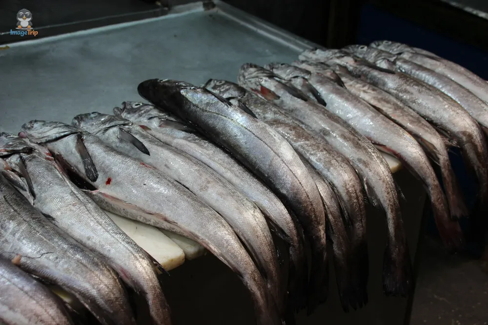 PuertoMontt_Melipulli_7