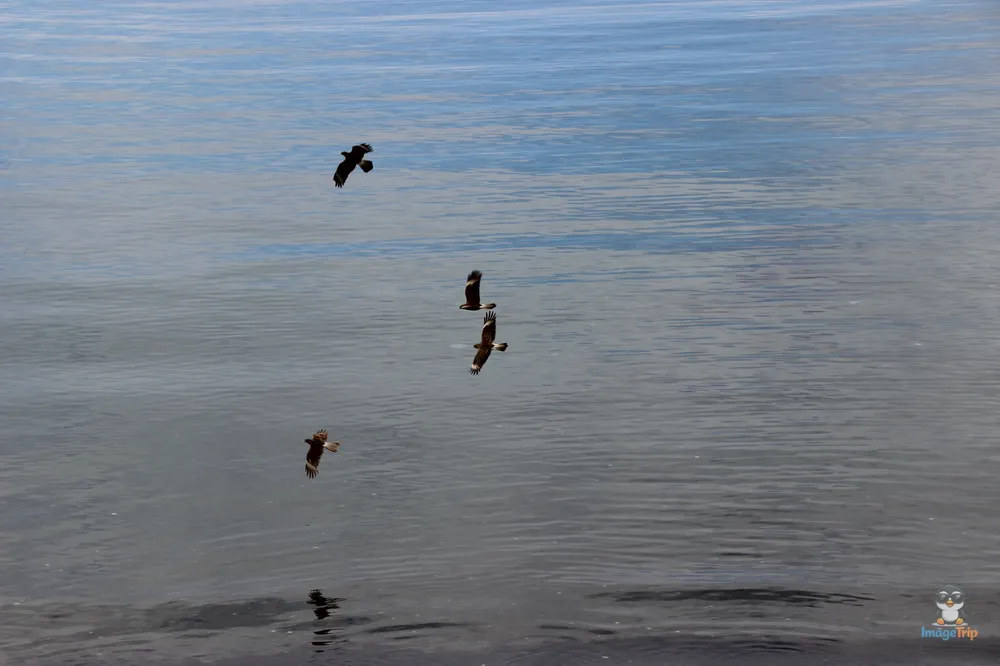 PuertoMontt_Costanera_20