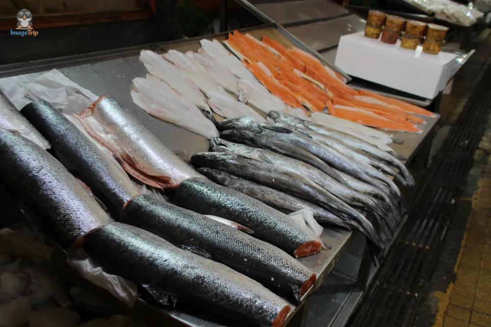 PuertoMontt_Angelmo_39