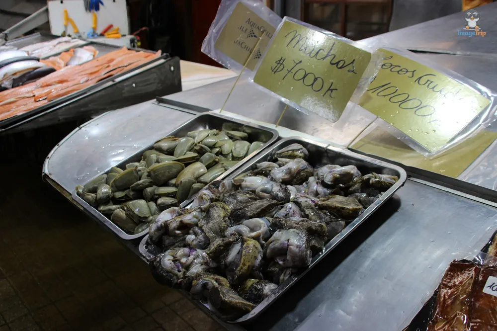 PuertoMontt_Angelmo_38