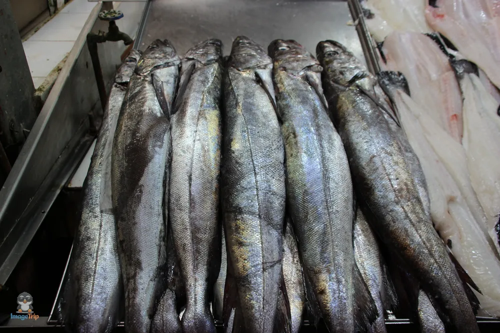 PuertoMontt_Angelmo_40