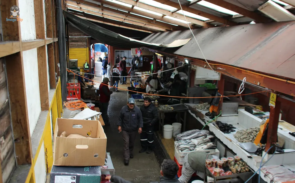 PuertoMontt_Angelmo_44