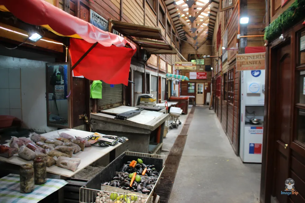 PuertoMontt_Melipulli_8