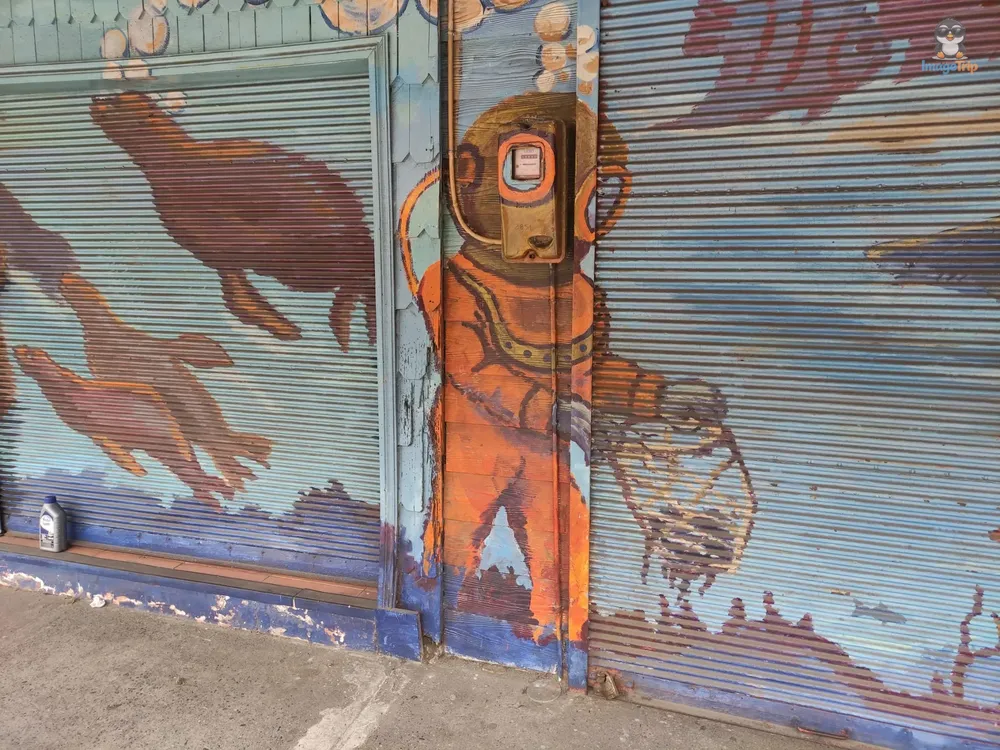 PuertoMontt_Angelmo_65