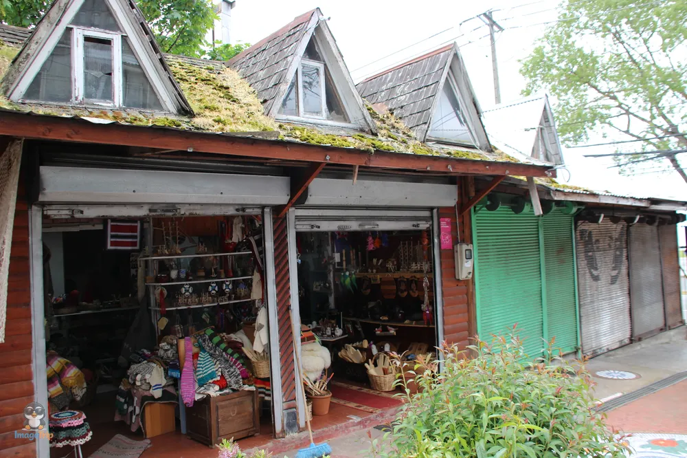 PuertoMontt_Melipulli_13