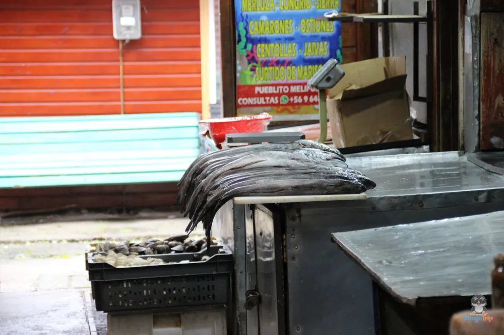 PuertoMontt_Melipulli_10