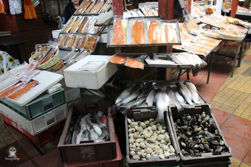 PuertoMontt_Angelmo_33