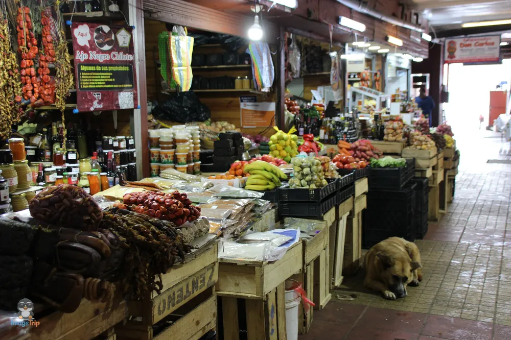 PuertoMontt_Angelmo_31