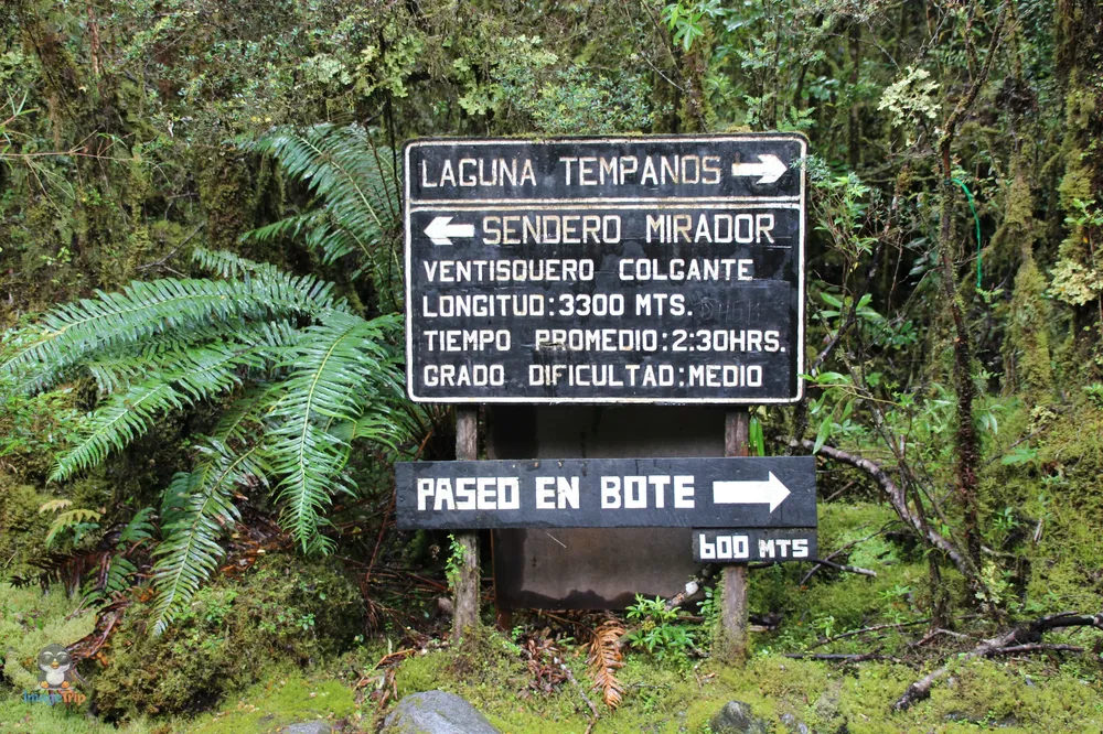 VentisqueroColgante_10