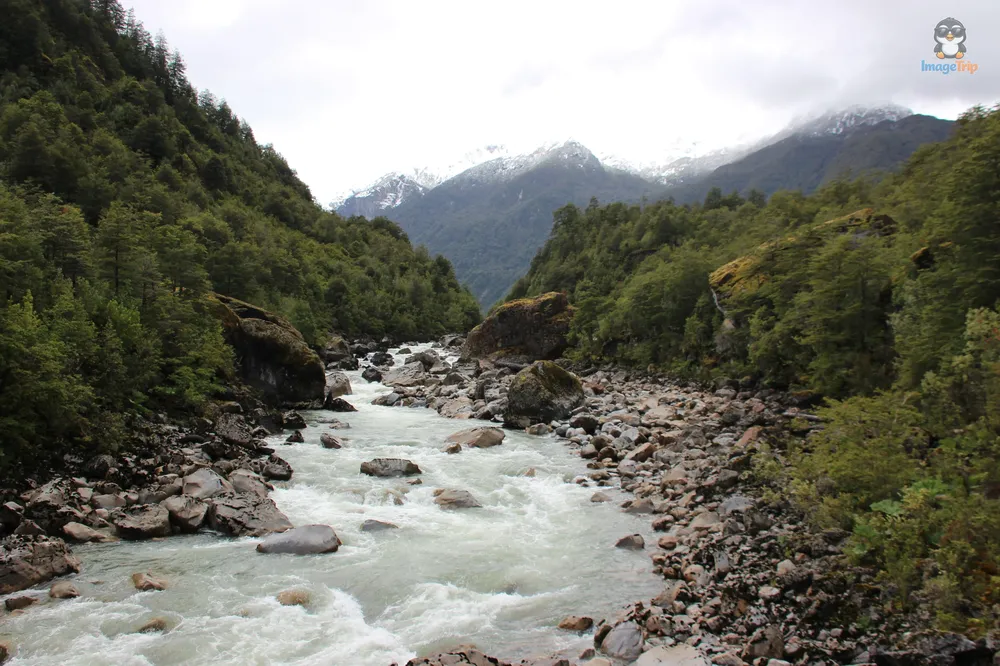 VentisqueroColgante_6