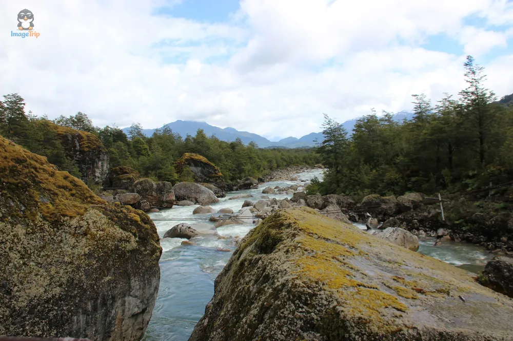 VentisqueroColgante_5