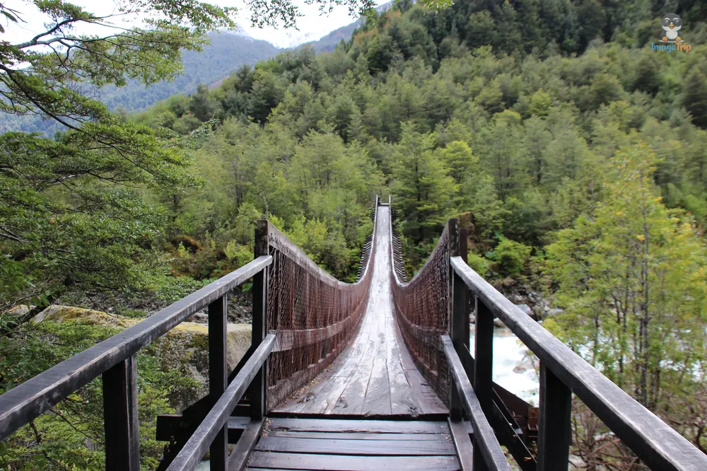 VentisqueroColgante_3