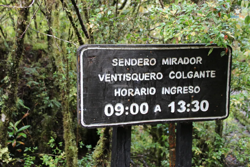 VentisqueroColgante_11