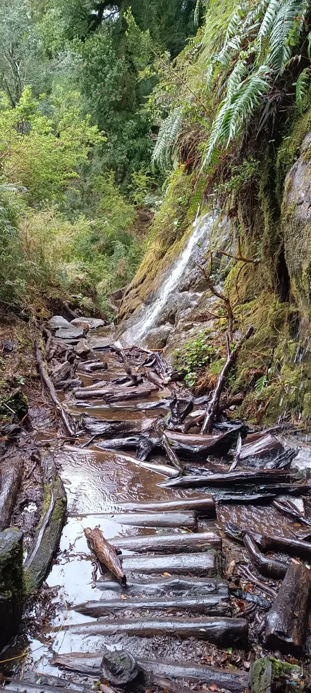 VentisqueroColgante_29