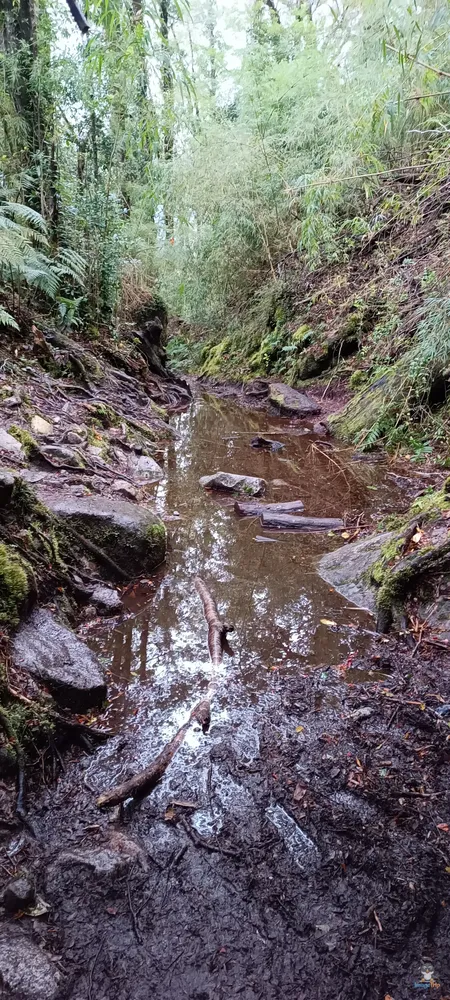 VentisqueroColgante_28