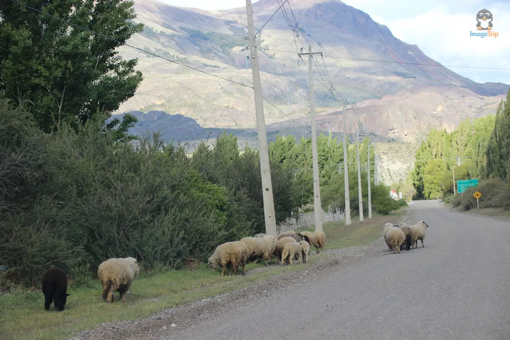 PuertoIngenieroIbanez_20