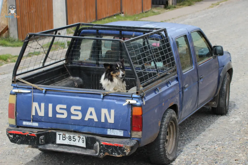 VillaCerroCastillo_6