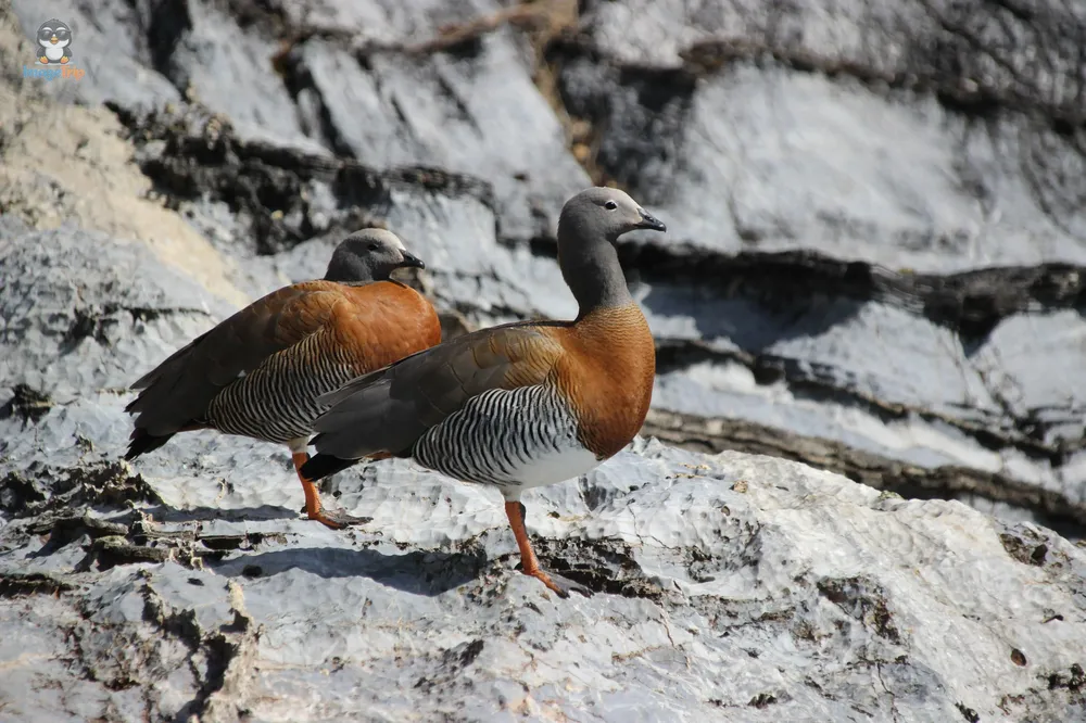 TourCapillasMarmol_68