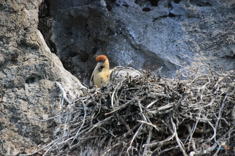 TourCapillasMarmol_152