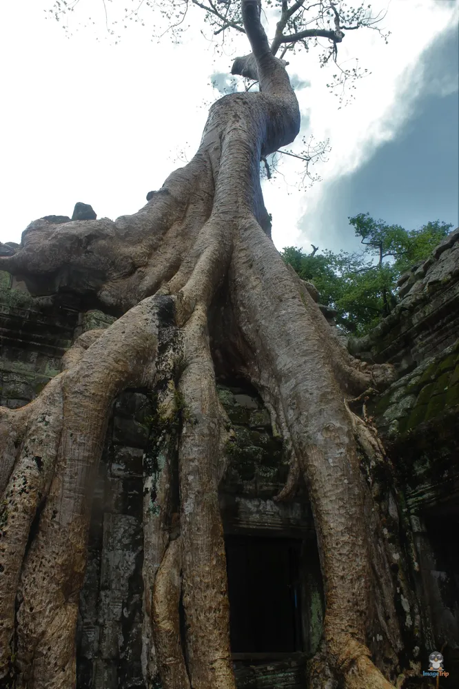 TaProhm_9