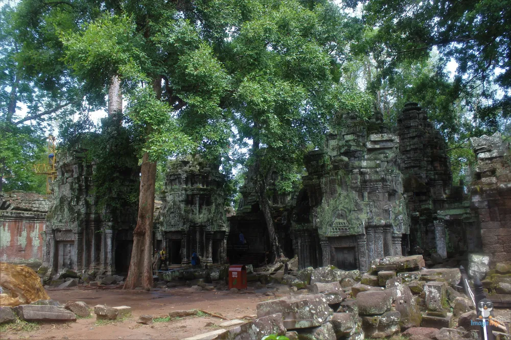 TaProhm_17