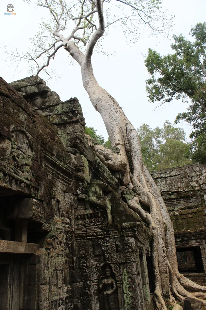 TaProhm_7