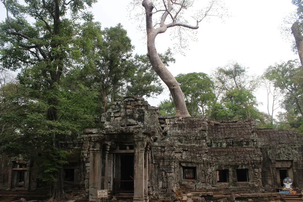 TaProhm_4