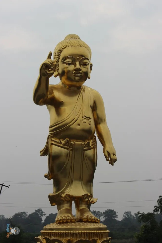 Bodhisattva Siddhatta Golden Statue