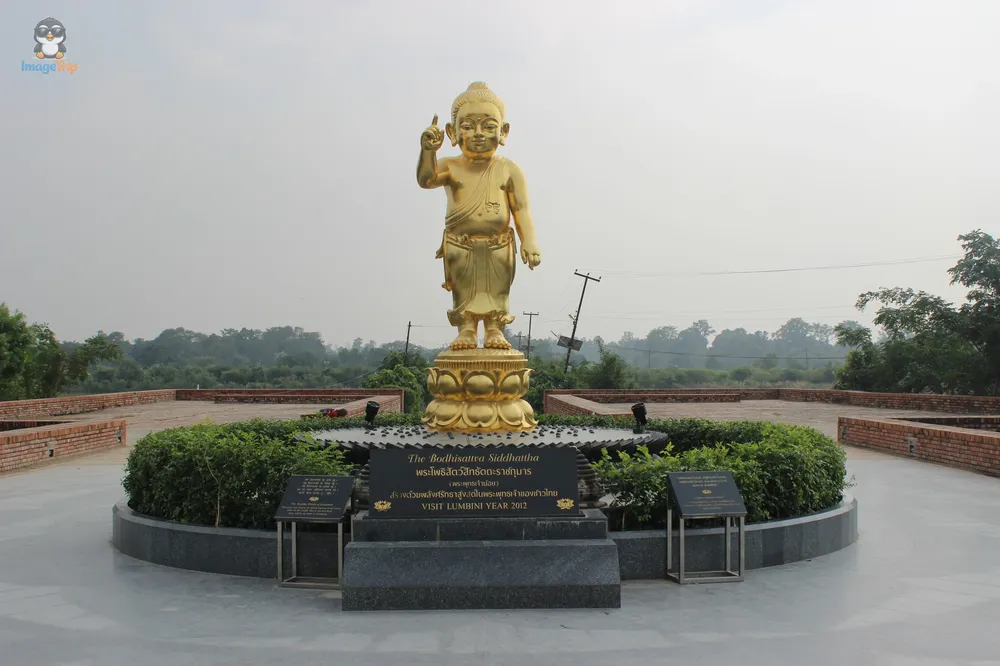 Bodhisattva Siddhatta Golden Statue