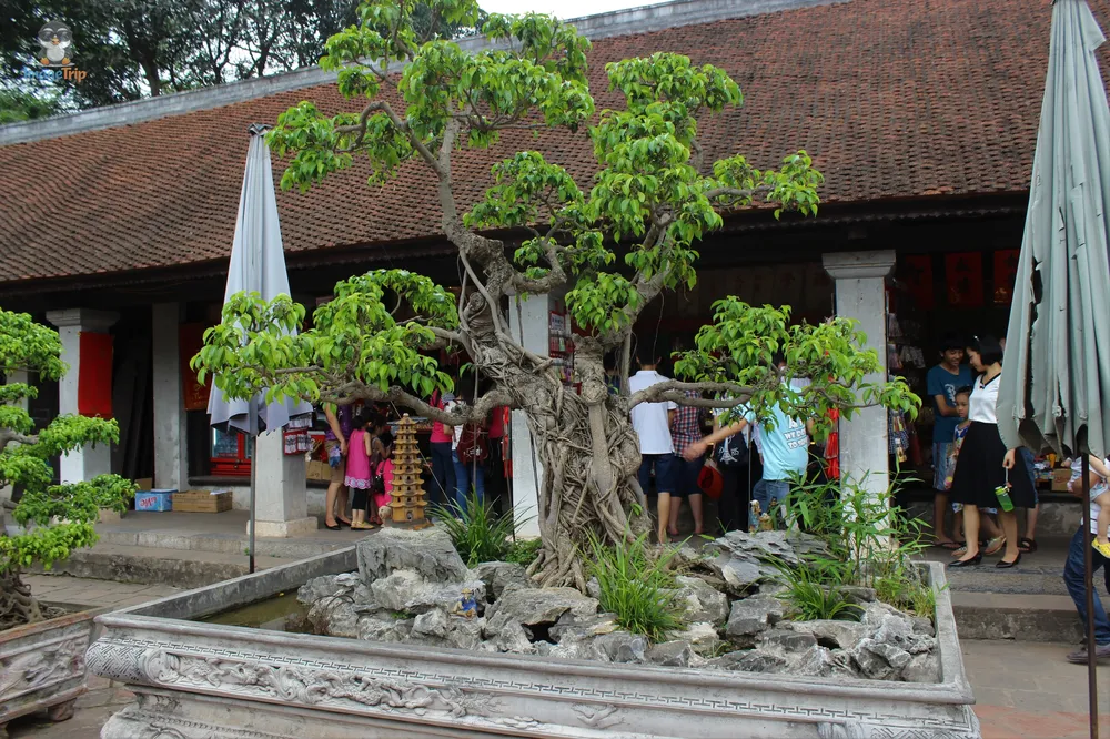 Templo Literatura 30